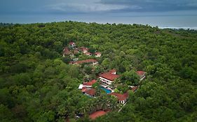 Golden Tulip Goa Mandrem
